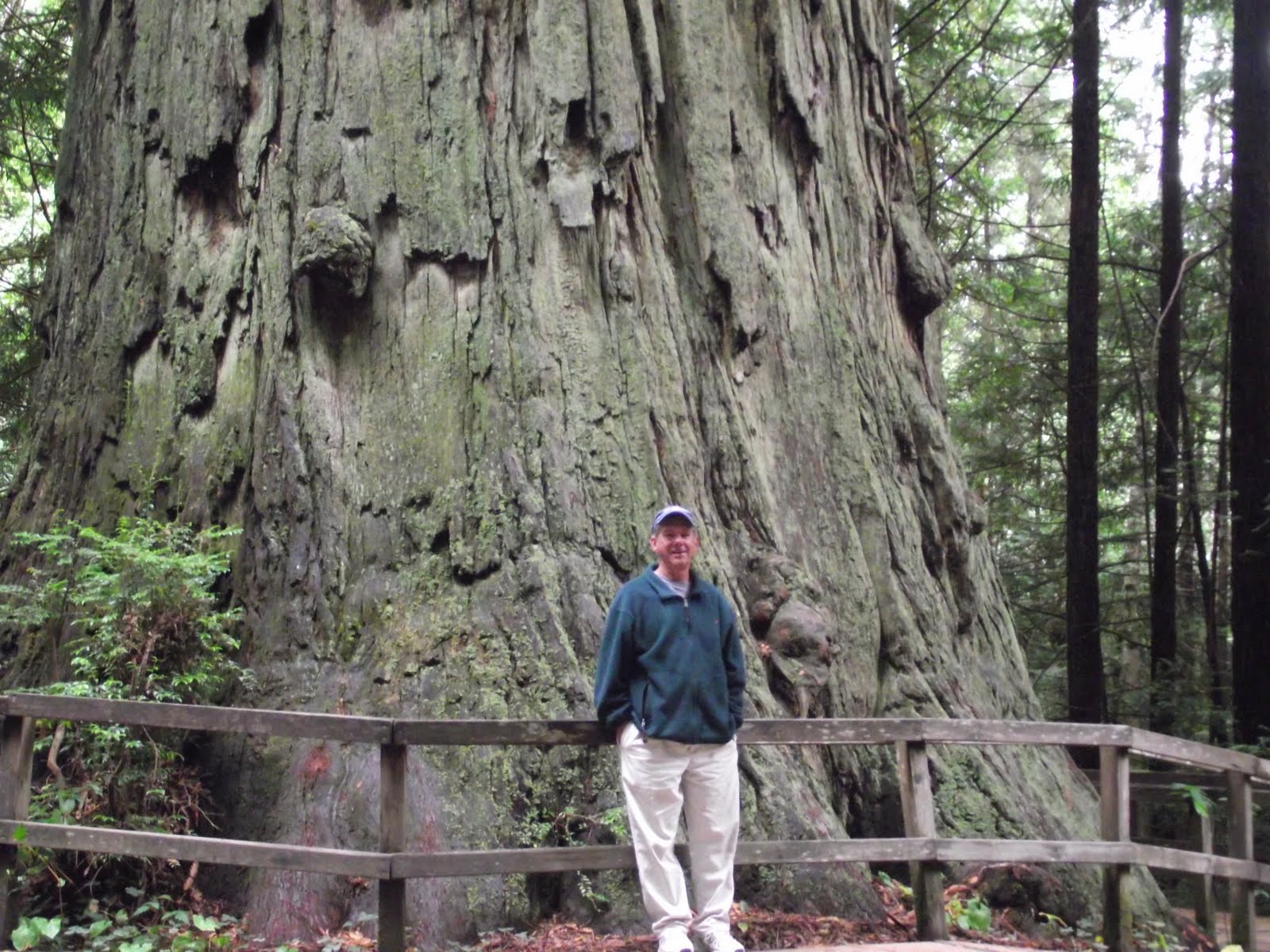 MIMI and MOE ON THE GO Outa Oregon into the Redwoods