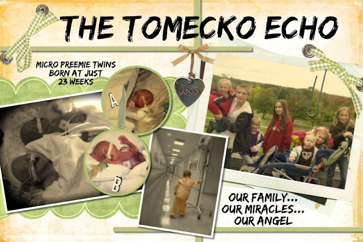 The Tomecko Echo