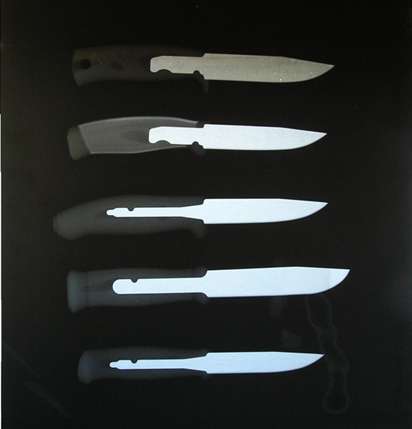 [mora+xray.jpg]