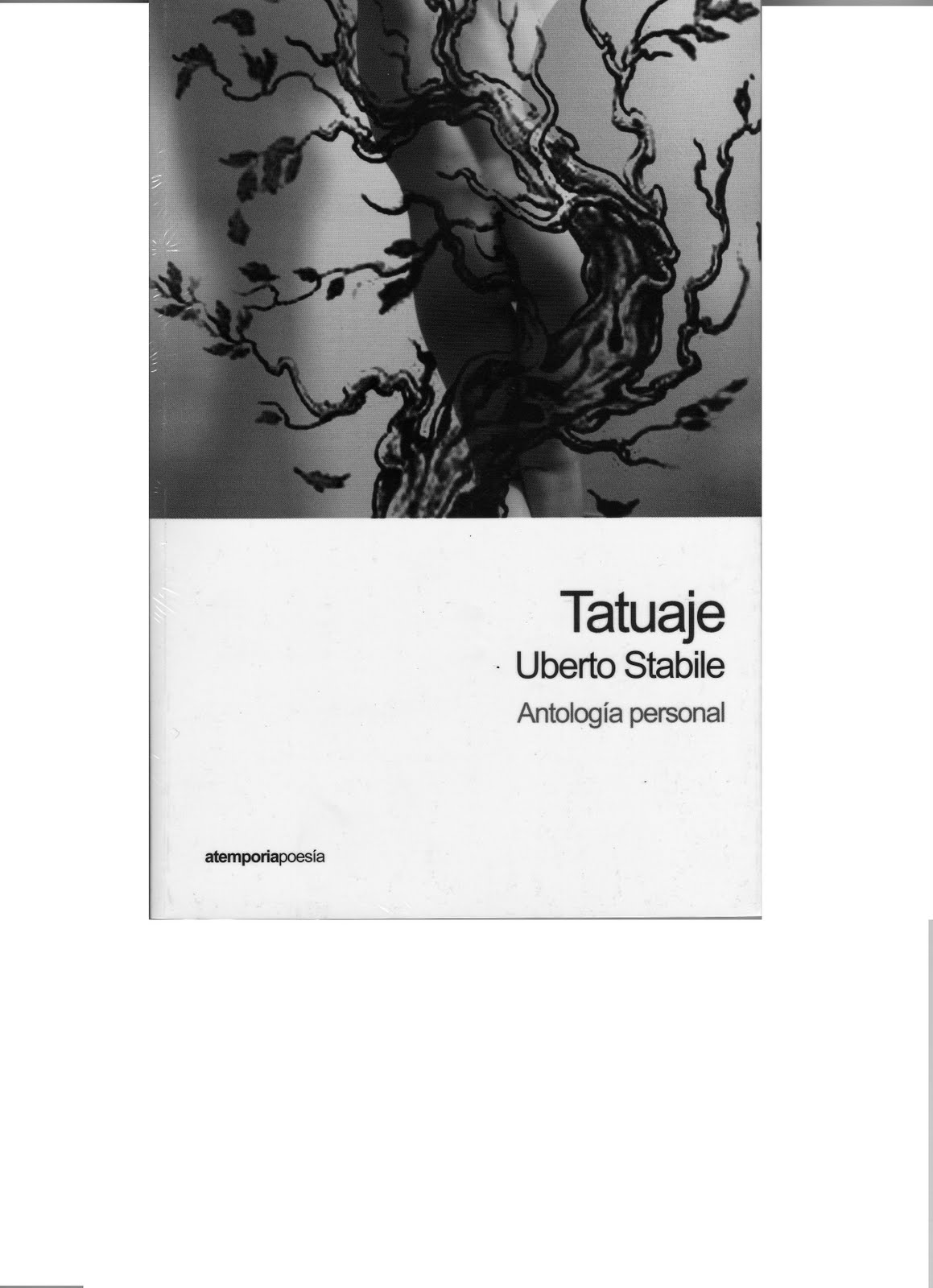 [tatuaje306.jpg]