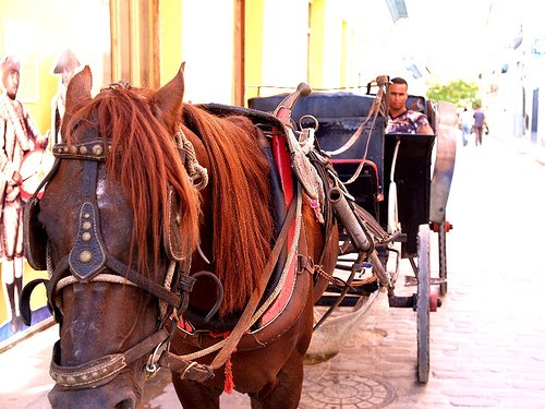 [44831682_1cdefe1cc8.jpg]