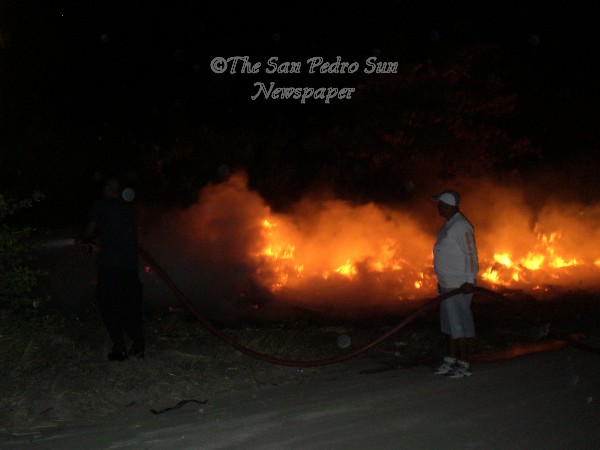 [Bush+Fire0001.JPG]