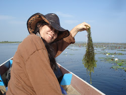 Plants  and Bird watching