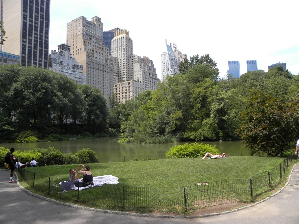 Exotic Travel Destinations Escape from the heat in Central Park, New York