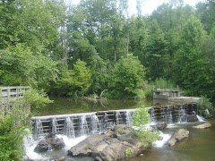 I wish I were playing in that creek!
