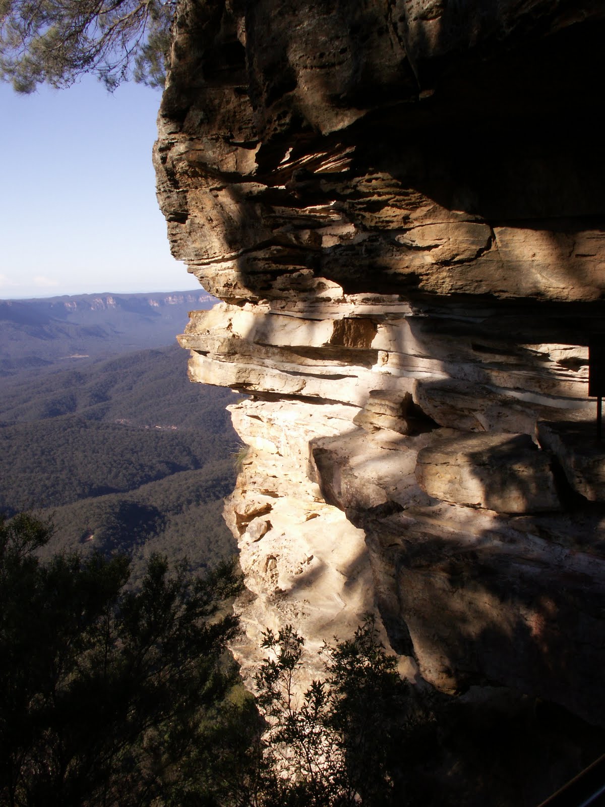 Mo in Melbourne Blue Mountains