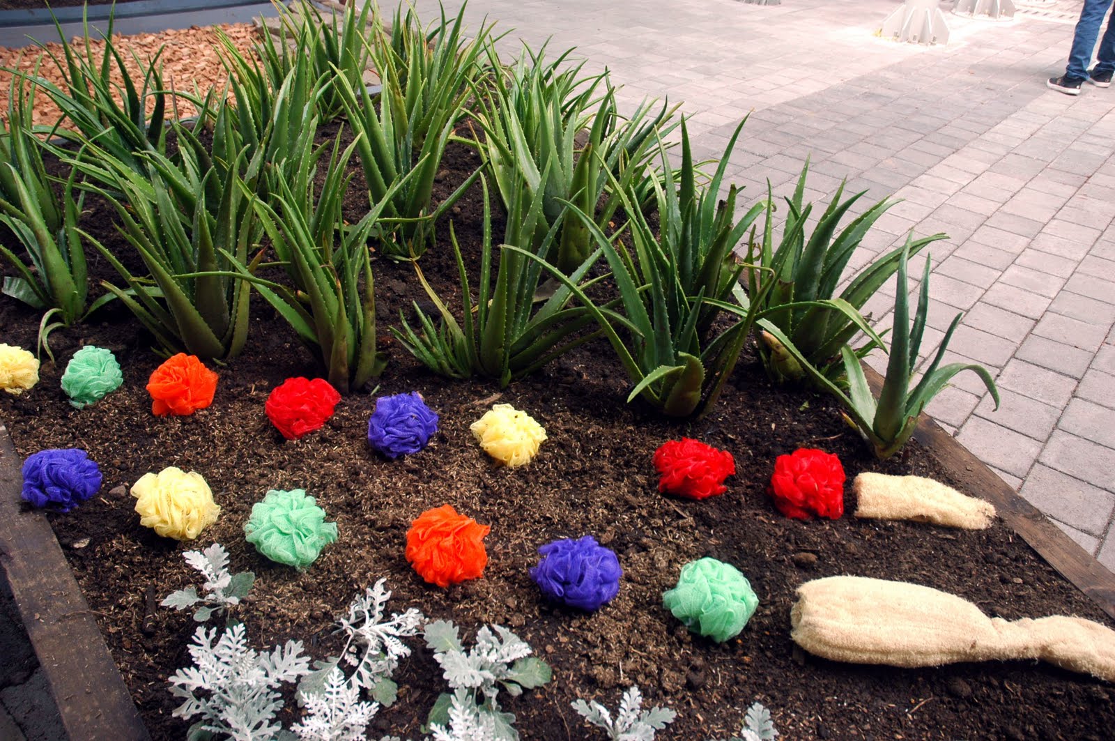 Bilbaojardín en Medellín (Colombia) ~ Jardinería y Paisajismo