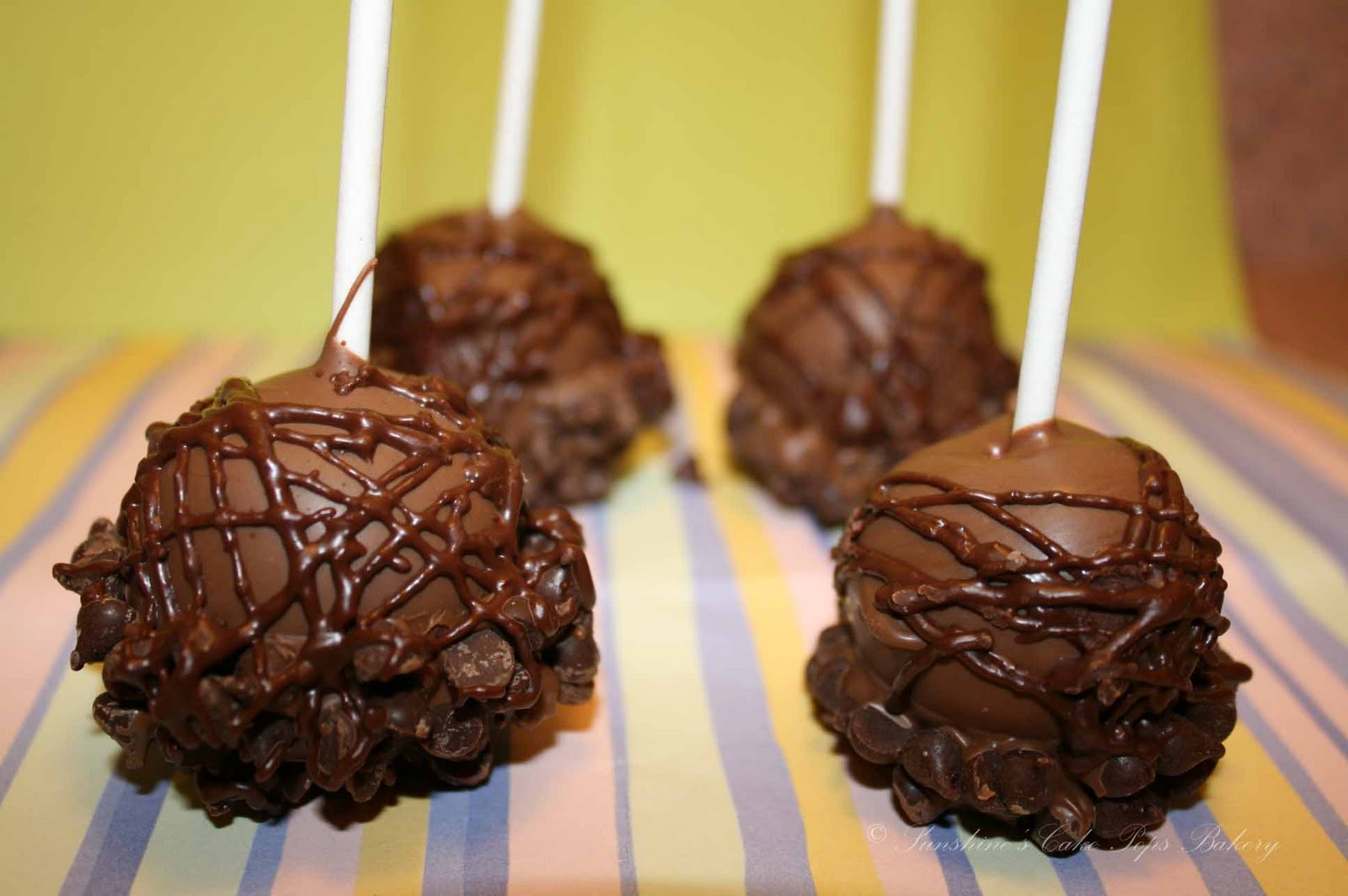 Sunshine's Cake Pops Bakery Gourmet Pops