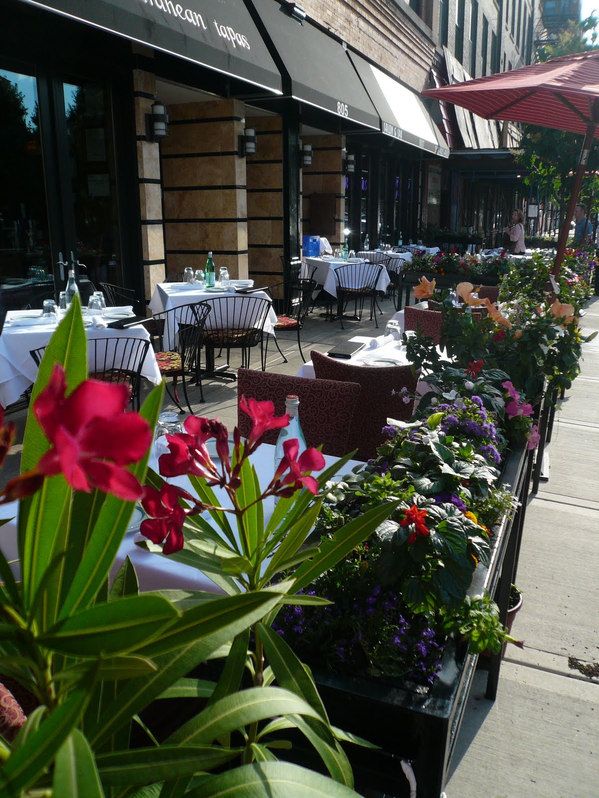 Plum and Radish The Best Tapas in Chicago!