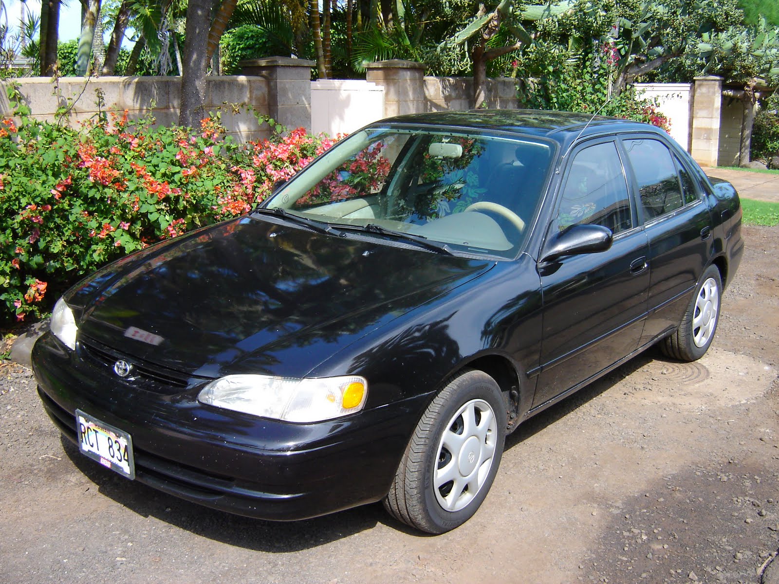 Maui Rental Cars Frank's Friendly Cars Maui Car Rental LLC Next