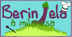 banner berinjela