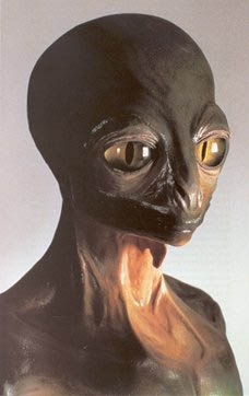 reptiliano02.jpg