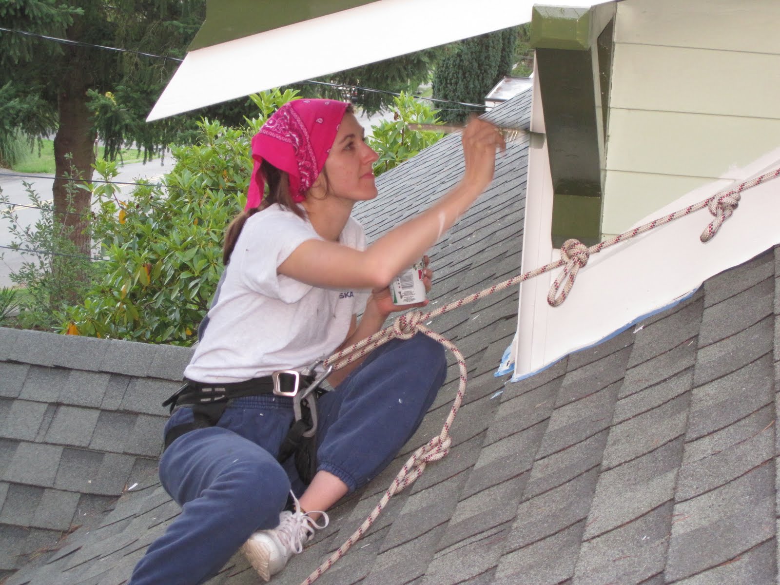 The Brown Menagerie How to paint the dormer's