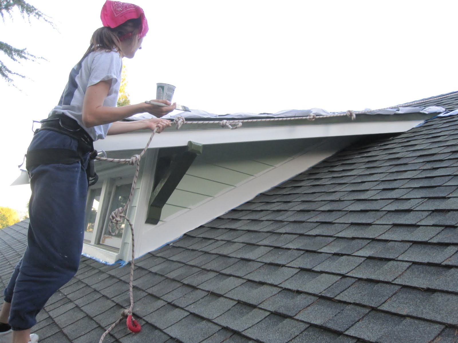 The Brown Menagerie How to paint the dormer's