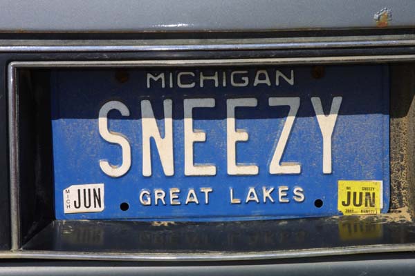 [Sneezy-License-Plate.jpg]