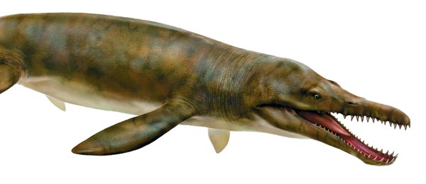 Giant Reptiles of the Mesozoic seas