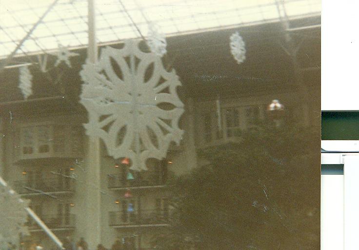 From a trip to the OPRYLAND 4 acre jungle at Christmas
