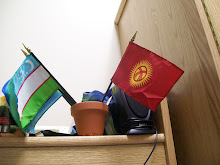Kyrgyz Flag