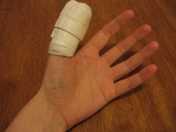 [IMG_0531sm.JPG]