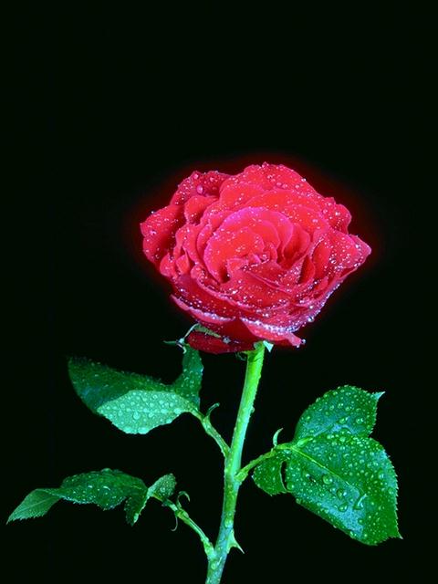 [D01C0013.JPG]