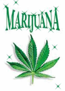 maconha_014.gif