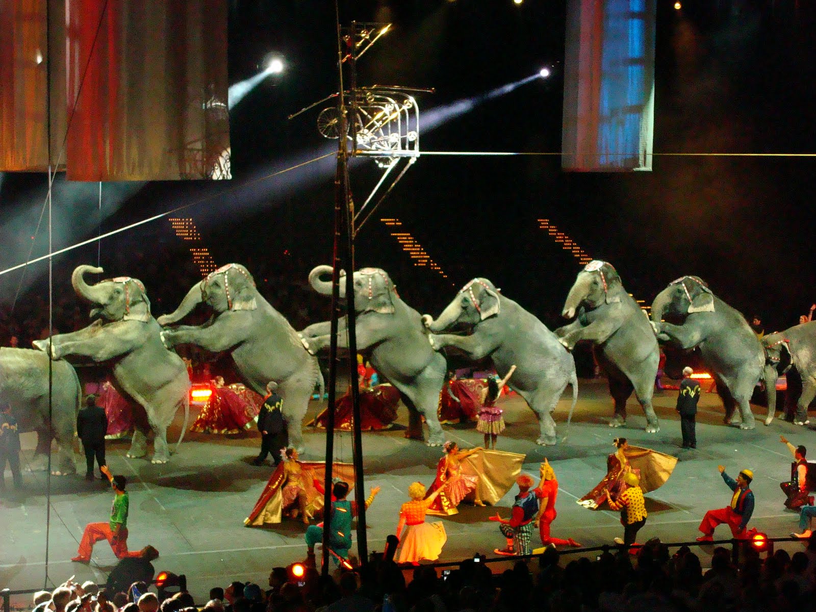 Our Family Circus in Houston
