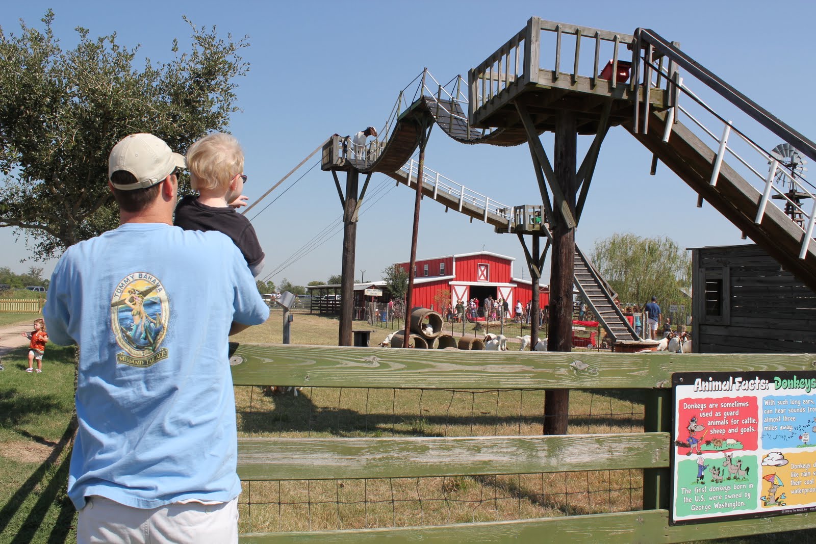 Our Family Dewberry Farm