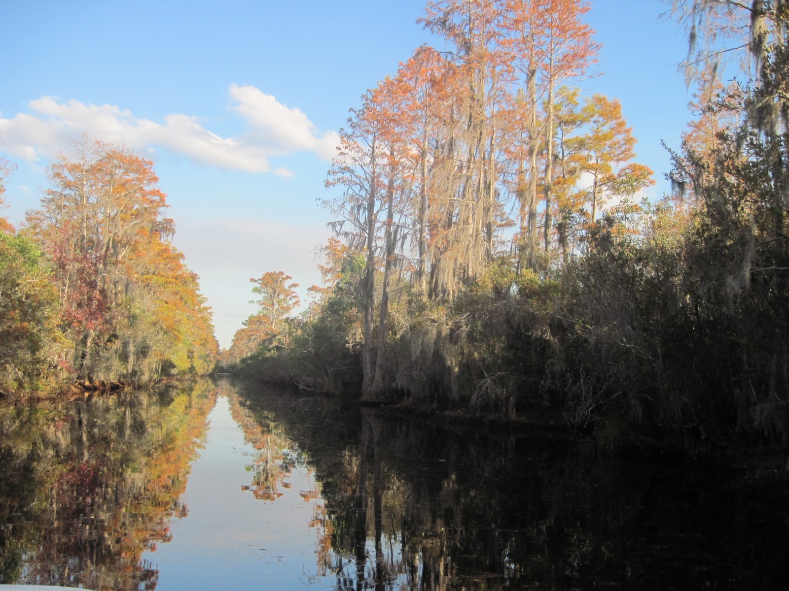 The Schramm Journey: Okefenokee Swamp, Georgia