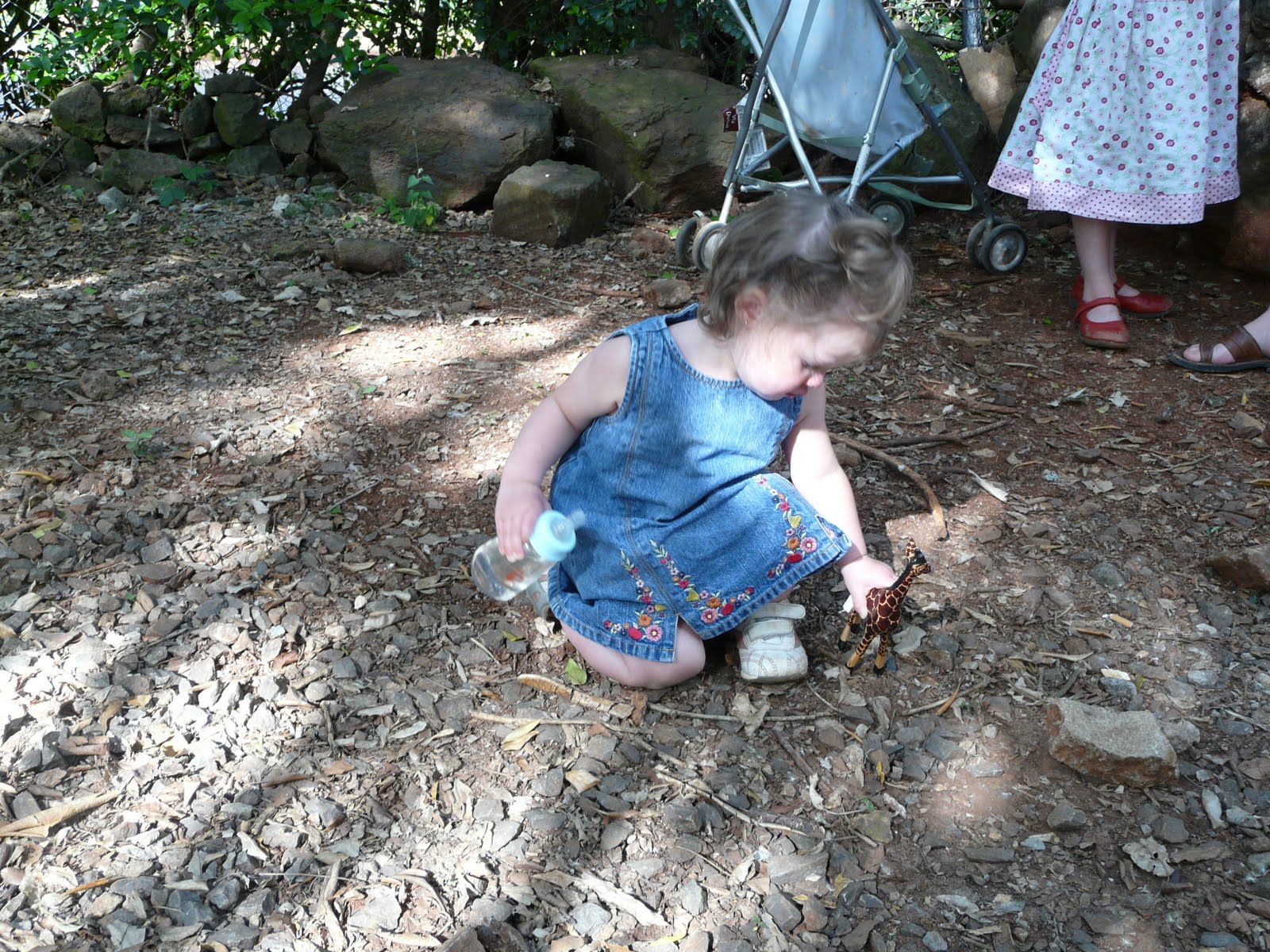 [P1020045.JPG]
