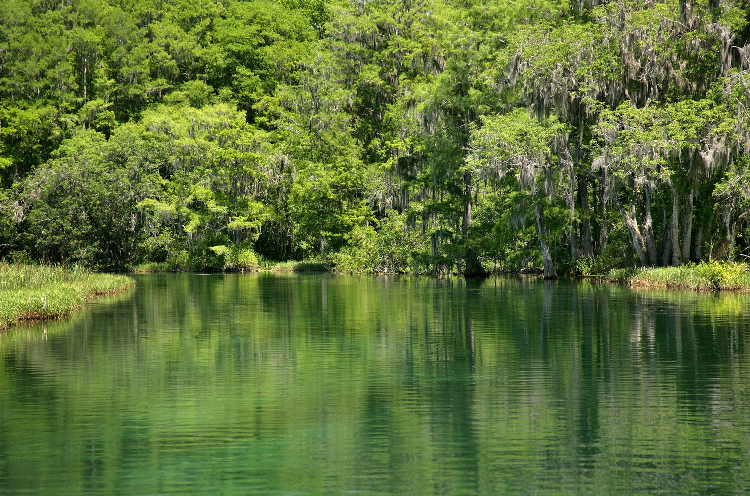 Carrie Barton Running with the Withlacoochee!