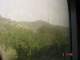 Scenery from the Train