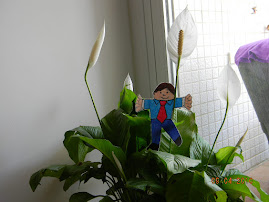 Flat Stanley in the Bloom