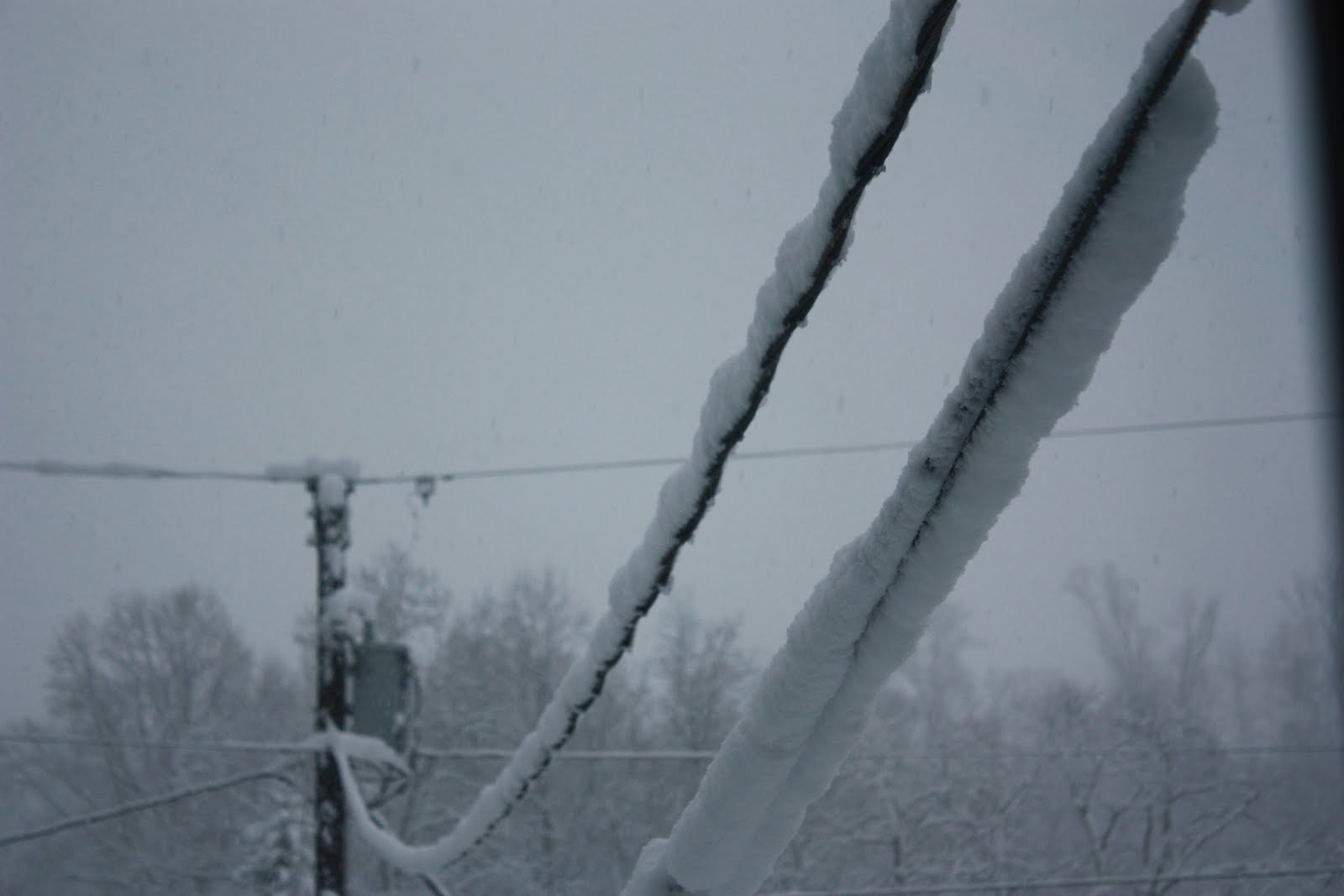[Feb2010+Snow+002.JPG]