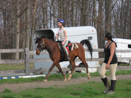 Western and English horsemanship!