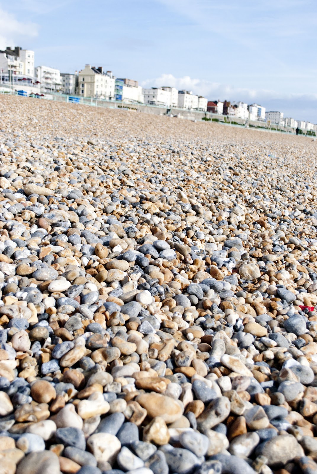 Yung And Fabulous In The UK Brighton Hove the-best-parks-nature-attractions-in-brighton-le-sands-2024