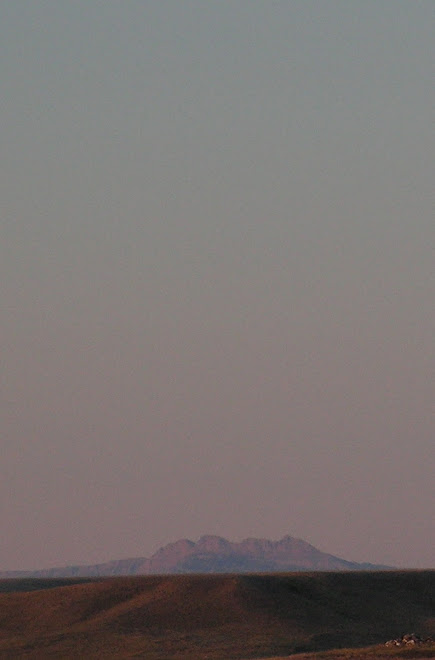 Early Morning High Prairie