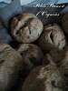 [Thumb_Petits+pains+à+l'oignon.JPG]