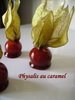[Physalis+au+caramel.jpg]
