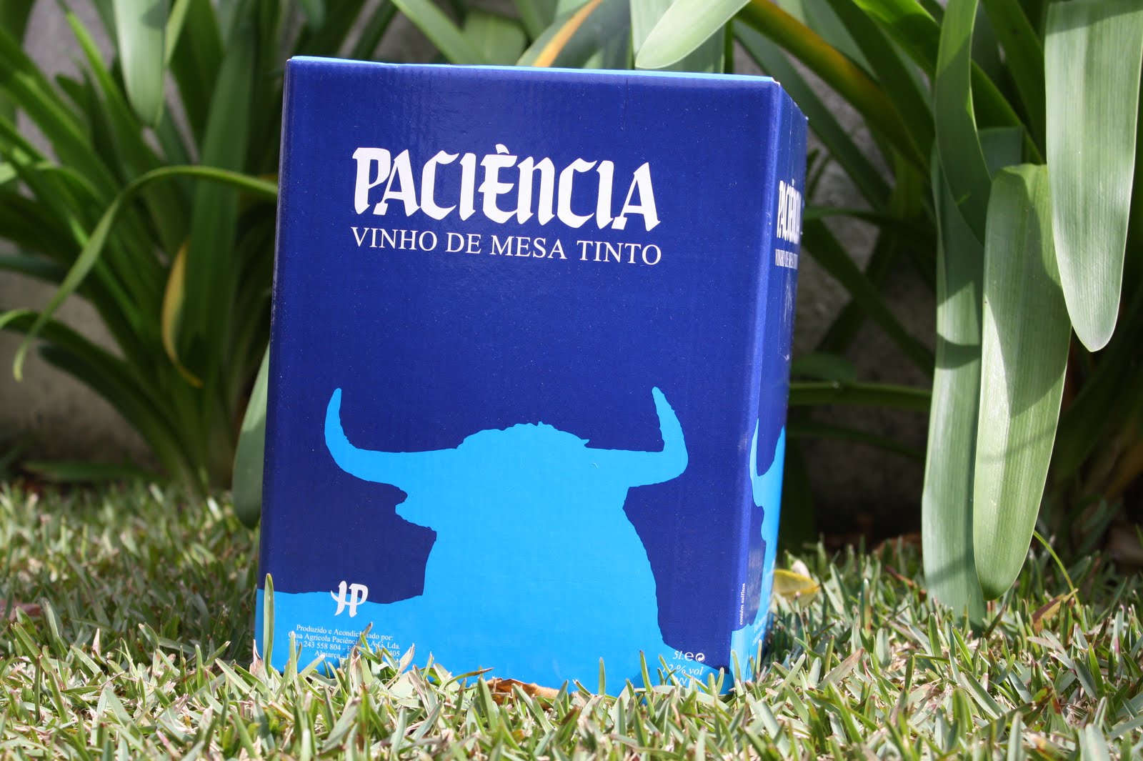 [Paciência+006.JPG]