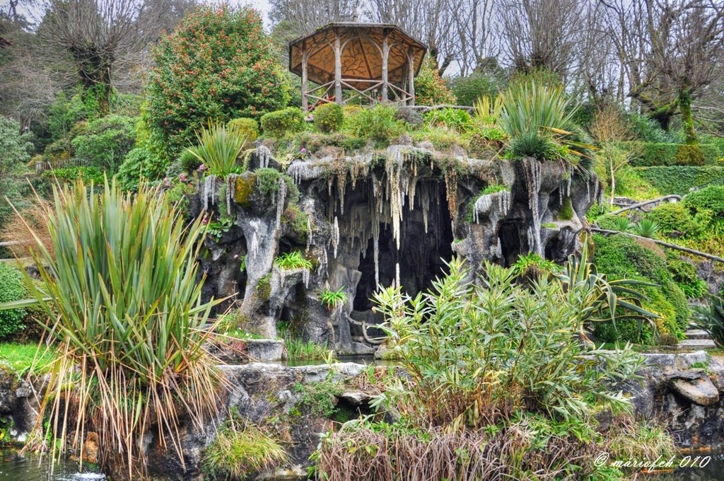 [DSC_0307_5_6-1.jpg]