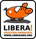 Libera