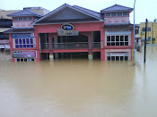 Flood 2011