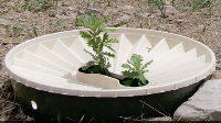 Una caja para reforestar es el mejor invento del año