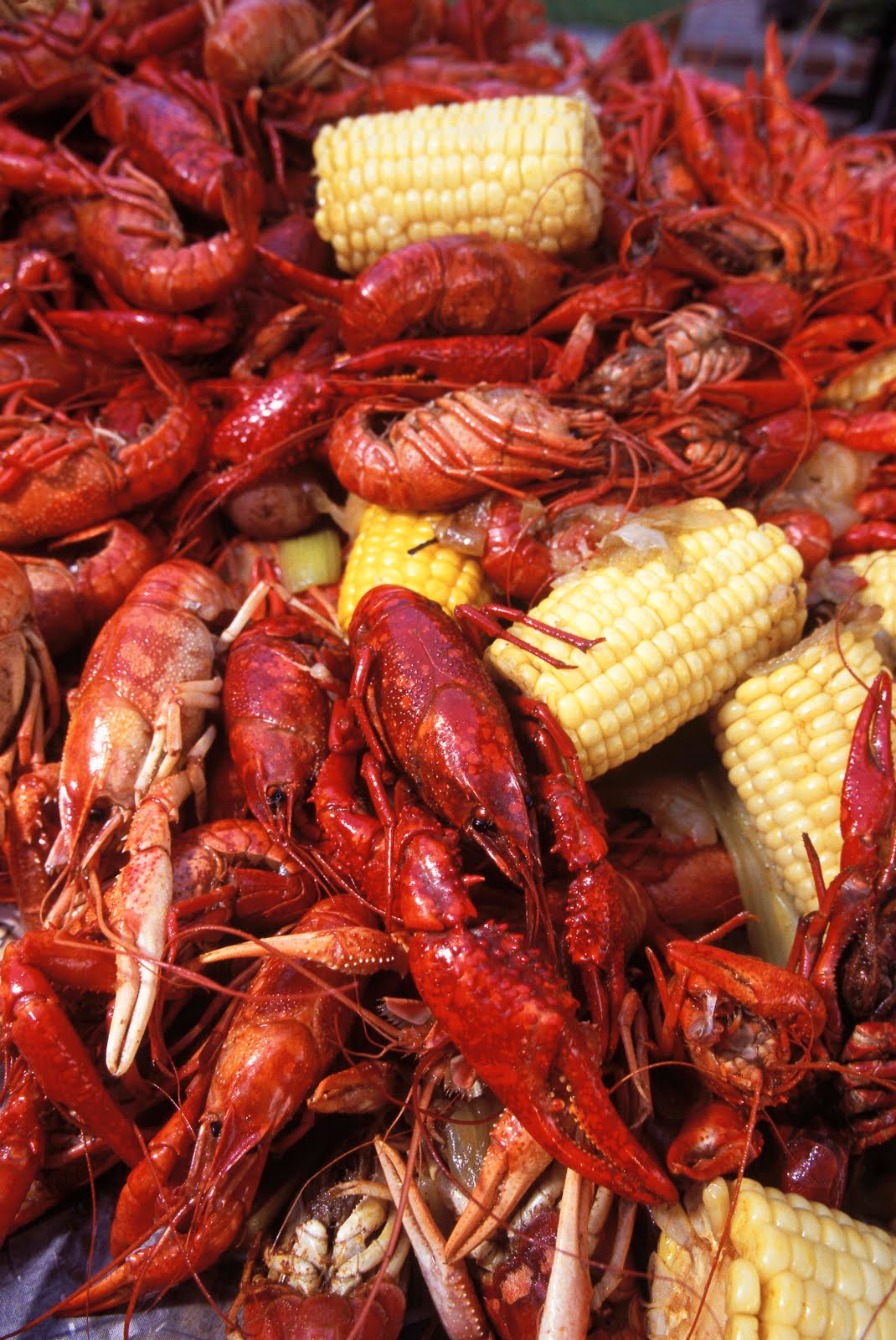 It's a Redneck Round Up! Crawfish Boil and Beer Bash!