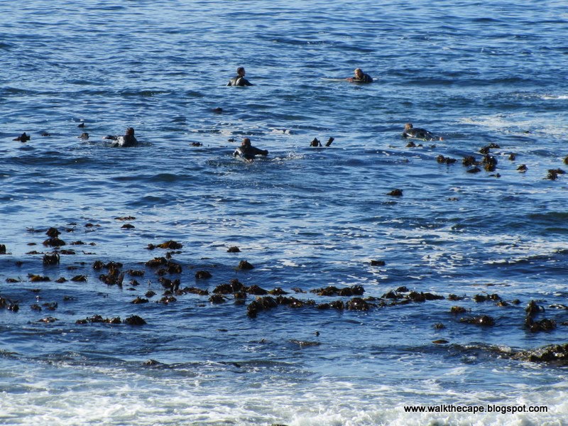 Walking the Cape: Sea Point Prom 2011 - Walk 2