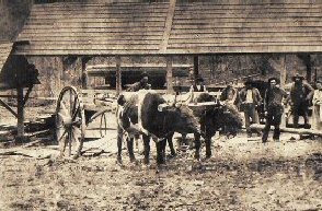 Penninger's Sawmill