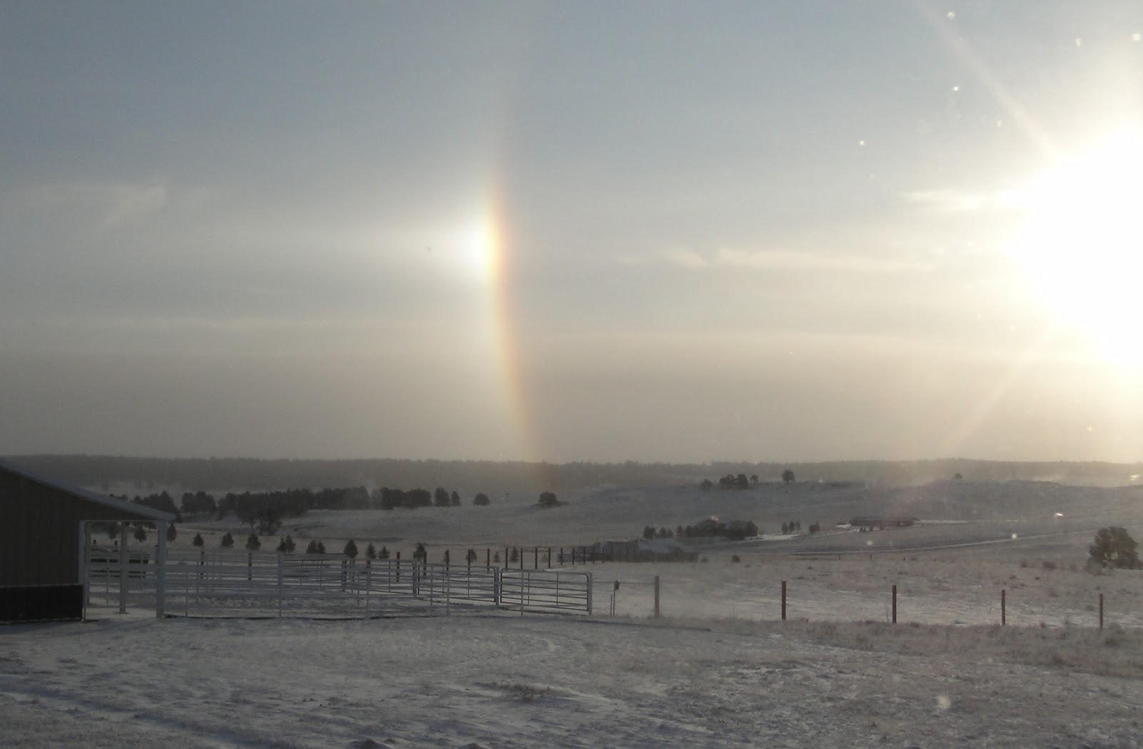 Moondance Ranch You Learn Something New Every Day