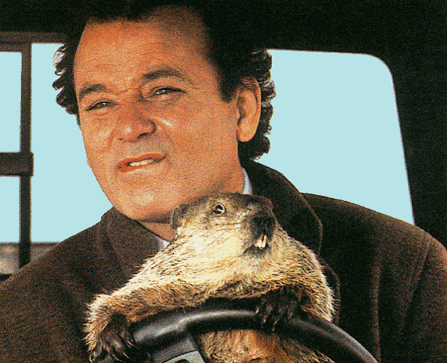 bill murray ground hog day