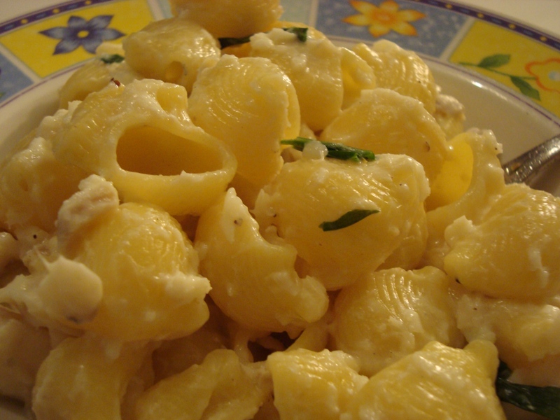 Smoked Haddock (Cod) and Pasta in Parsley Sauce Pasta and more Pasta