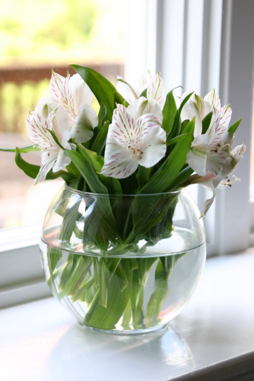 How To Care For Cut Flowers & Make Them Last Longer Shine Your Light